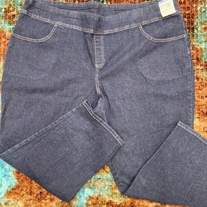Terra & Sky Straight Leg Pull On Jeans. Size 3X (24W-26W). NWT.
